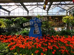 -南宫五洲植物乐园