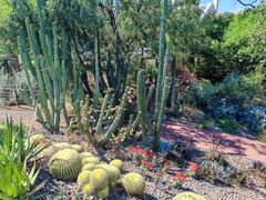 -墨尔本皇家植物园