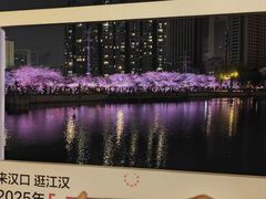 -西北湖绿化广场