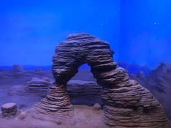 -重庆自然博物馆(新馆)