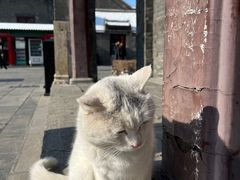 -张学良旧居陈列馆