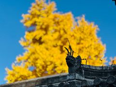 -承恩寺