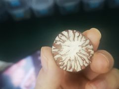 -成都中医药大学(温江校区)