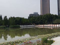-大望京公园