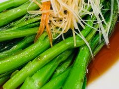 -金熊猫川菜餐厅