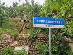 -桃源山庄·水蜜桃采摘·柴火鸡·烧烤团建(龙泉山店)