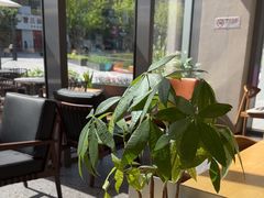 -Peet's 皮爷咖啡(望京小街店)
