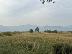 -野鸭湖国家湿地公园