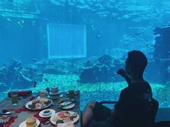 -海棠湾洲际-涛·海底餐厅·美人鱼·自助餐·海底隧道
