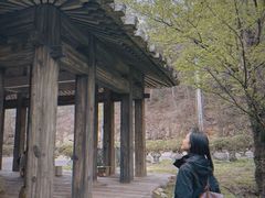 -木兰云雾山