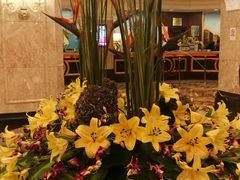 -广州科尔海悦酒店