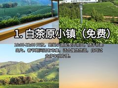 -阿露佳·舌尖上的安吉菜