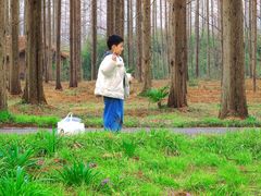 -黄海国家森林公园