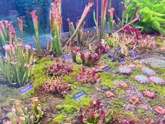 -中国科学院西双版纳热带植物园