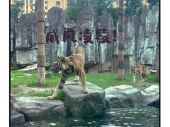 -上海野生动物园