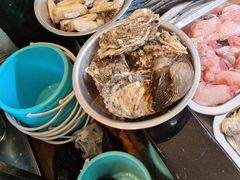 爆炒蛏子-渔家颂歌渔家味道(青石路店)