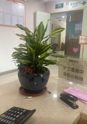 -深圳港龙妇产医院