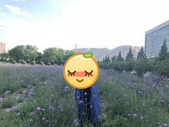 -兰州大学(榆中校区)