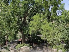 -北京凤凰岭