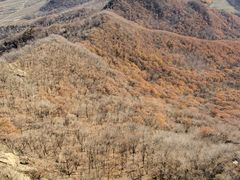 -帽儿山风景区