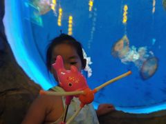 -威海华夏城景区