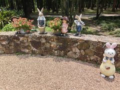 -上海共青森林公园