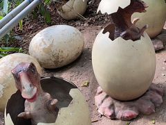 -呀路古热带植物园-恐龙馆