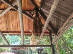 -庐山西海主景区