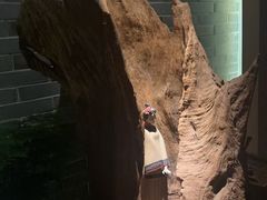 -足本纪·足道 SPA 简餐 小吃(文三西路店)