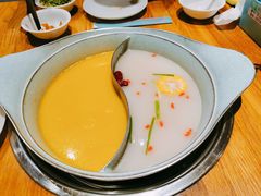 -青瓷火锅料理(西单大悦城店)
