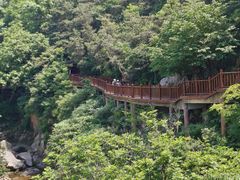 -崂山九水游览区
