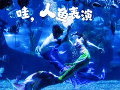 -南昌海洋公园