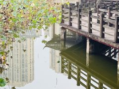 -龙头寺公园