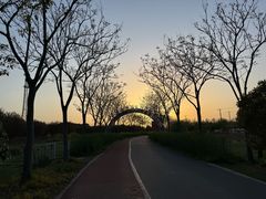 -上海长兴岛郊野公园