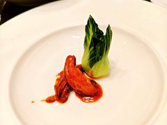 -成都天府丽都喜来登饭店