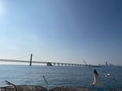 -星海广场
