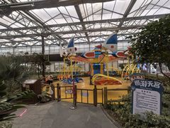 -南宫五洲植物乐园