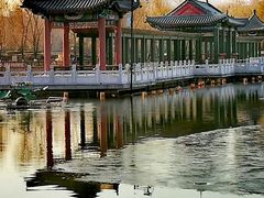 -莲花池公园