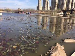 -前关湿地公园
