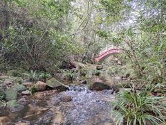 -海南热带雨林国家公园吊罗山景区
