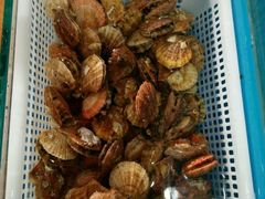 -青岛海泉湾度假区温泉