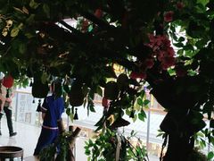 -老牌坊云南鱼豆花火锅(哈西万达店)