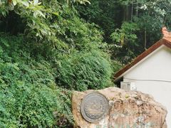 -缙云山景区