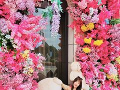 -荷兰花海