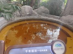 -渔岛海洋度假区