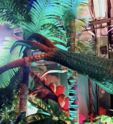 -恐龙探索乐园(磁器口店)