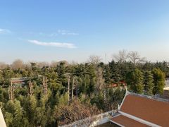 -洛阳白马寺