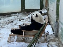 -栾川竹海野生动物园