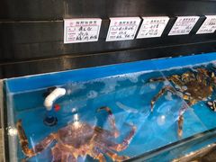 水产区-中苑海韵