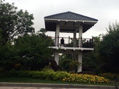 -玉树公园